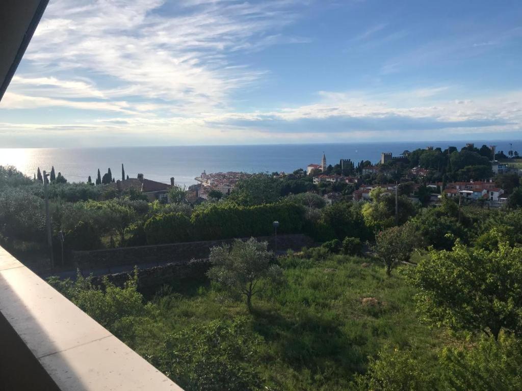 Apartmaji Jelena Piran Buitenkant foto